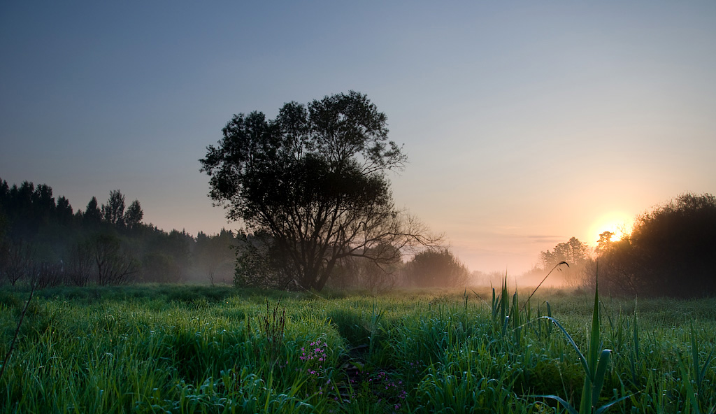 Moment eines Morgens ...