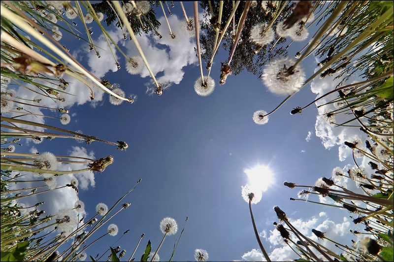 Weit entfernt von der blauen ...