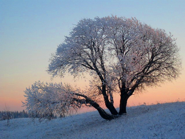 Winter Sonnenuntergang