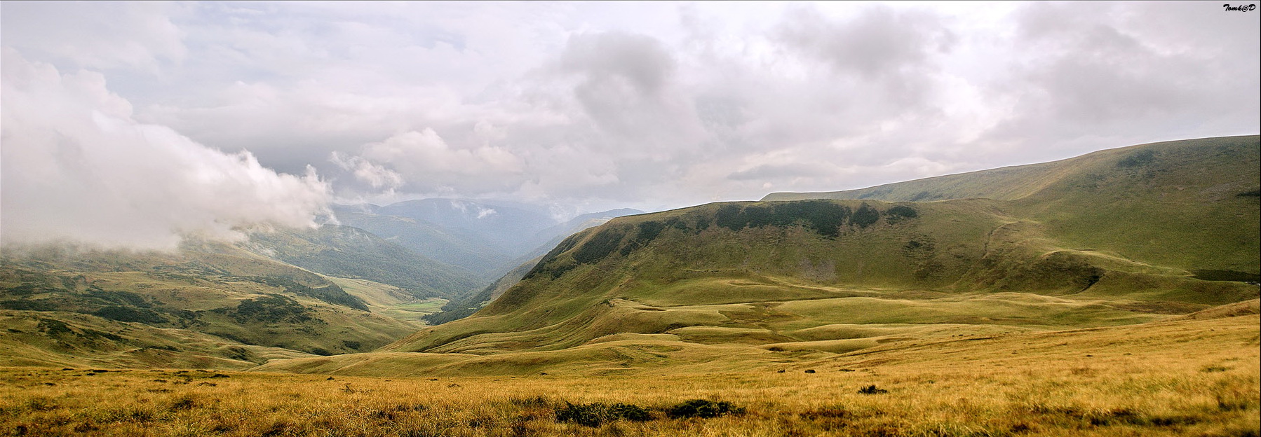 In der Gegend des Mount Dogyaska