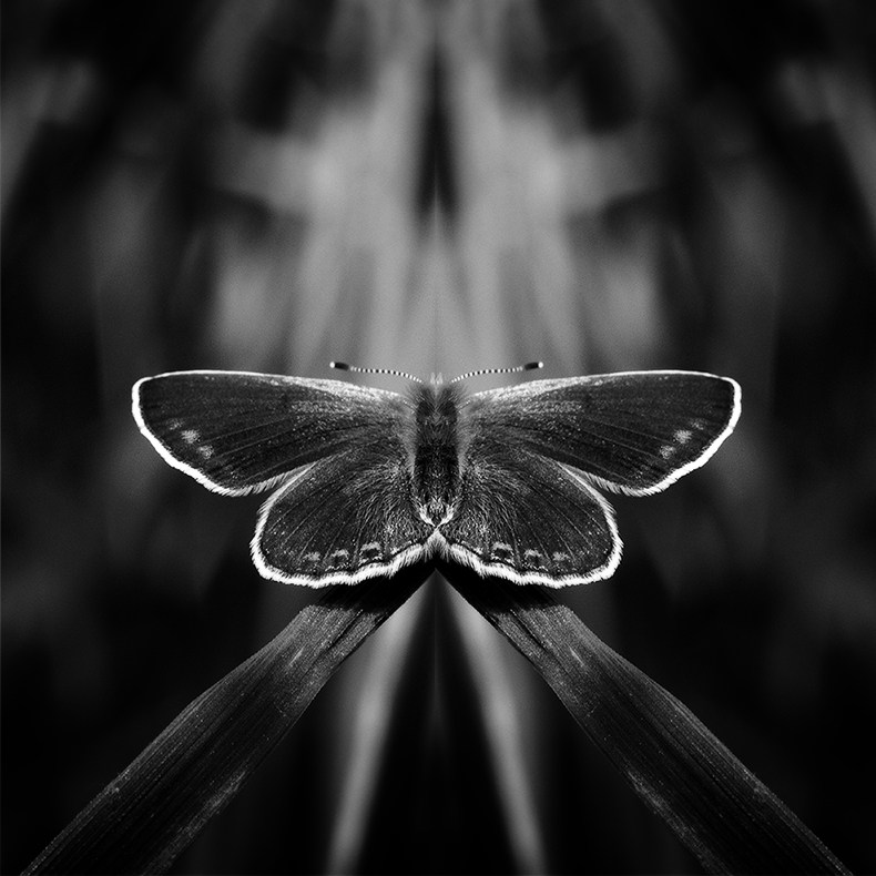 Von der Schraube ....