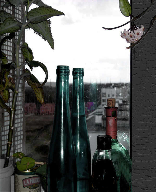 Aus dem Zyklus vor dem Fenster "(6)