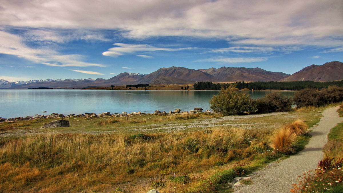 Pfad zum Lake Tekapo