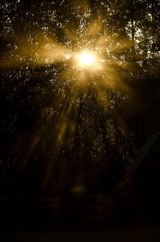 Dust and the sun ...