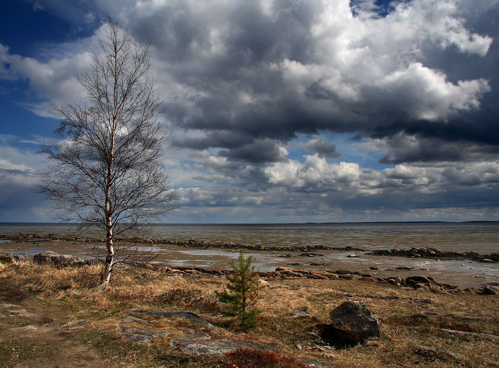 Alarmierende Frühling