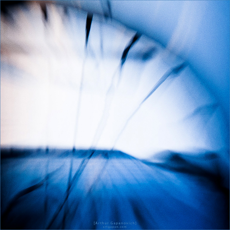 [C o n n e l a a p o T]