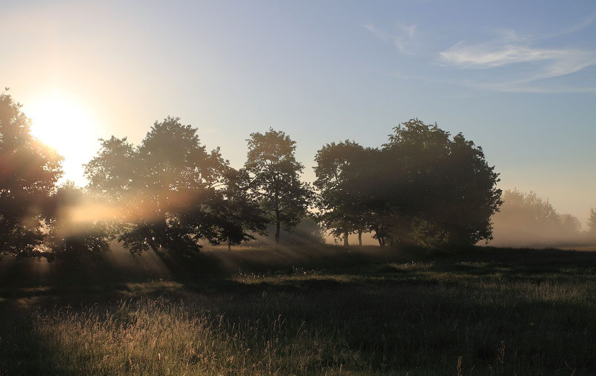 Spiel der Sonne mit Nebel