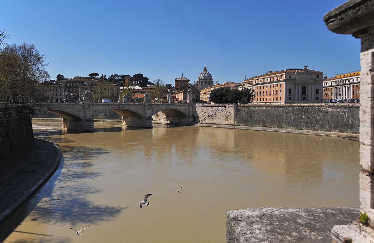 Möwen über den Tiber