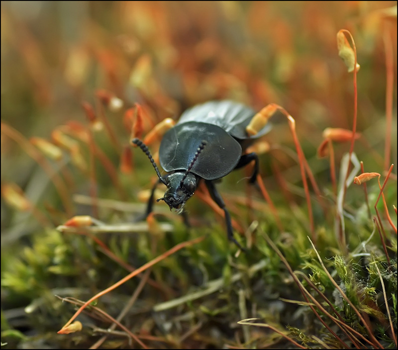 Sonnig und hell ....