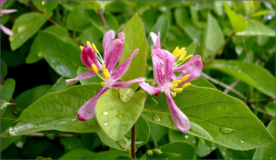 Dancing with the regen