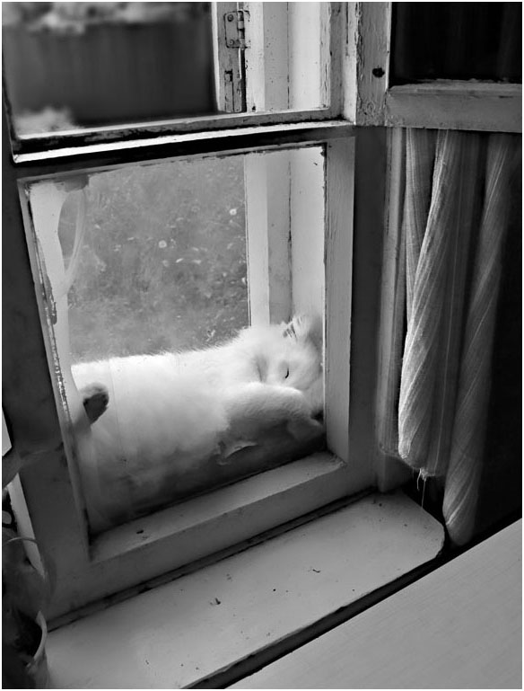 Das Projekt "hinter Glas"