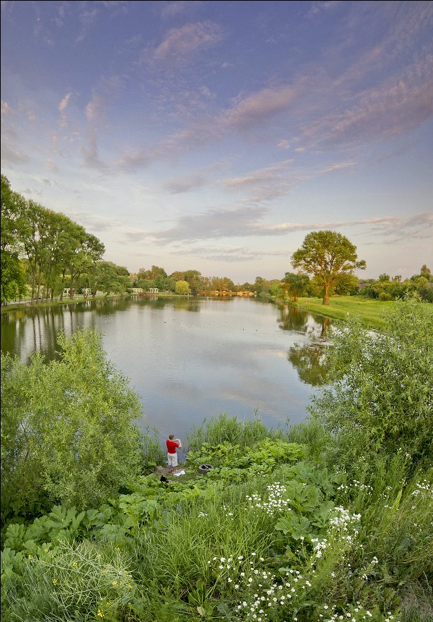 Shop-Fische, groß und klein.