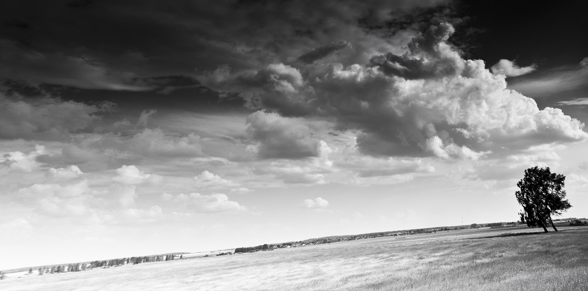 Auf dem Weg nach Hause