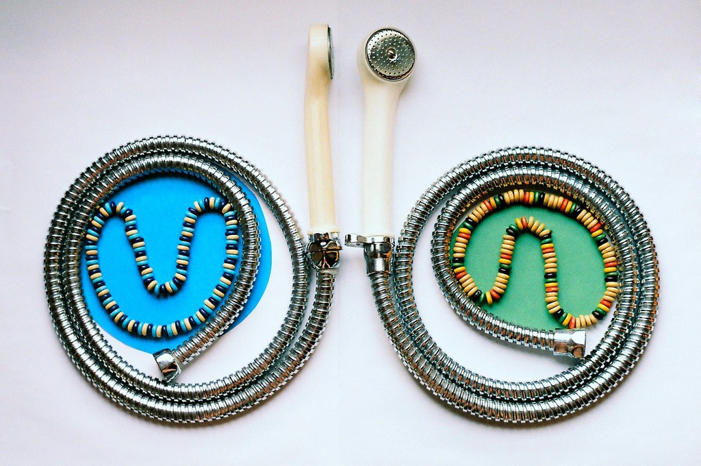 Wahlverwandtschaft))