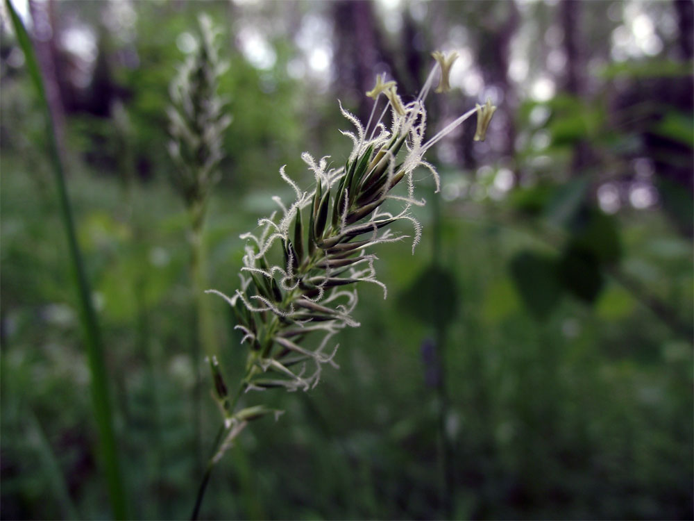 eine im Bereich ....