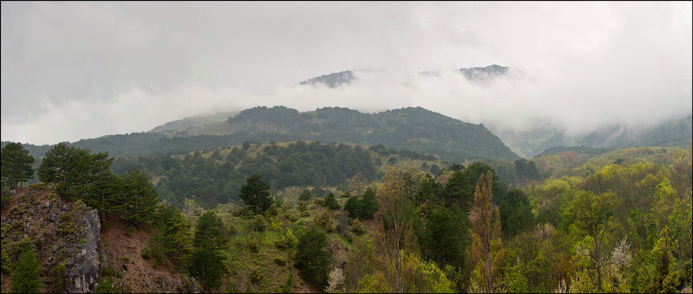 Auf dem Berg, das Leben in den Wolken