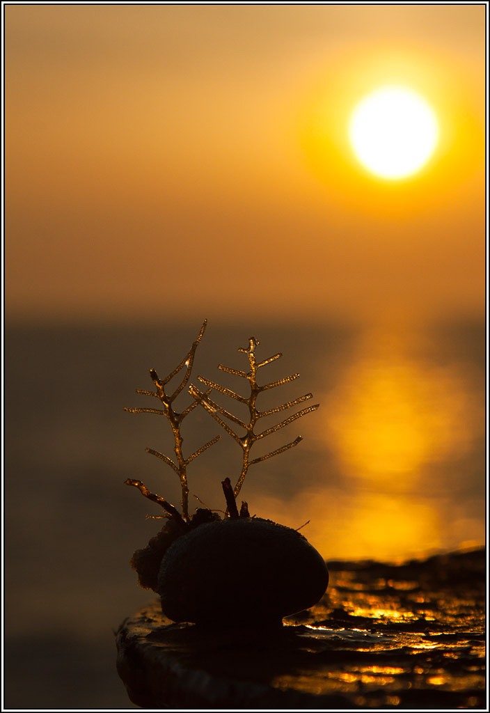 bei Sonnenuntergang ...