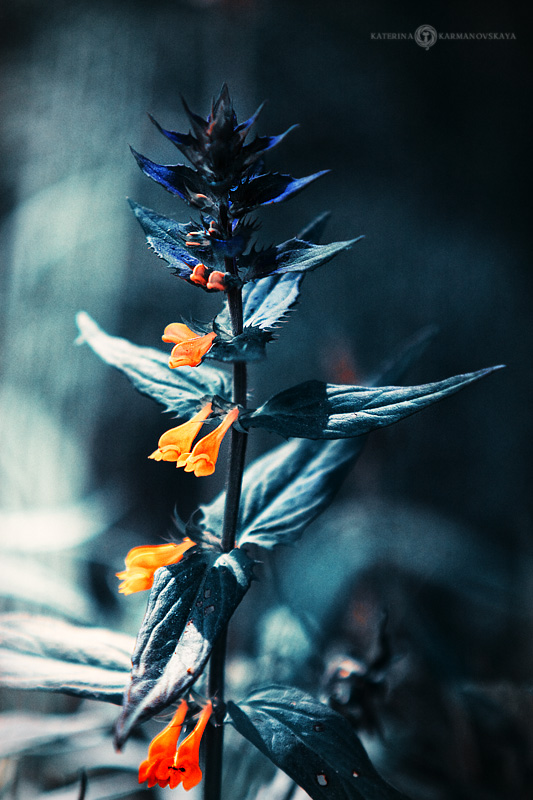 fantastic small lamps