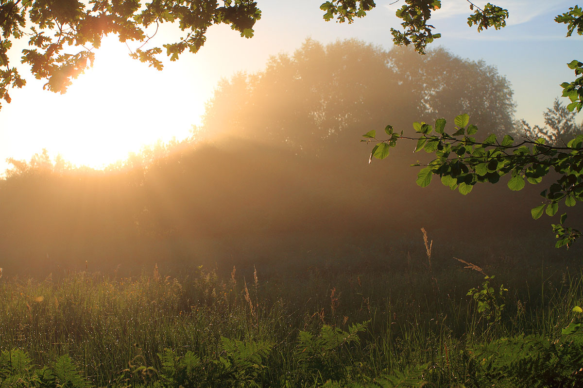 Der Sonne entgegen-2