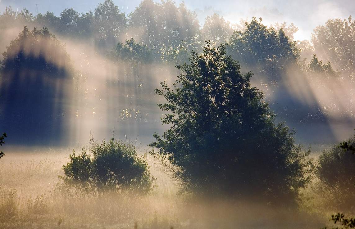 Morgen für Russland