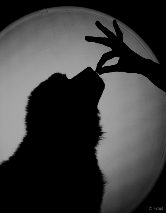 Verführerisch Geruch von Hot Dogs