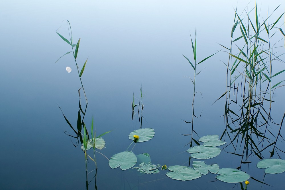 Wiegenlied für den Mond.