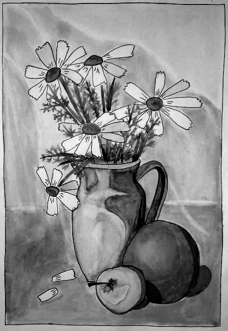 Winter Gänseblümchen