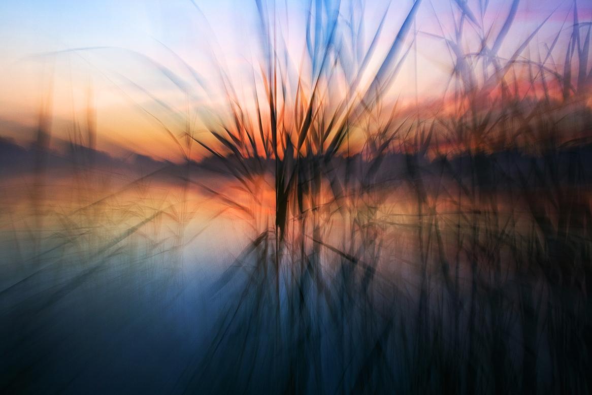 Morgendämmerung der Illusion