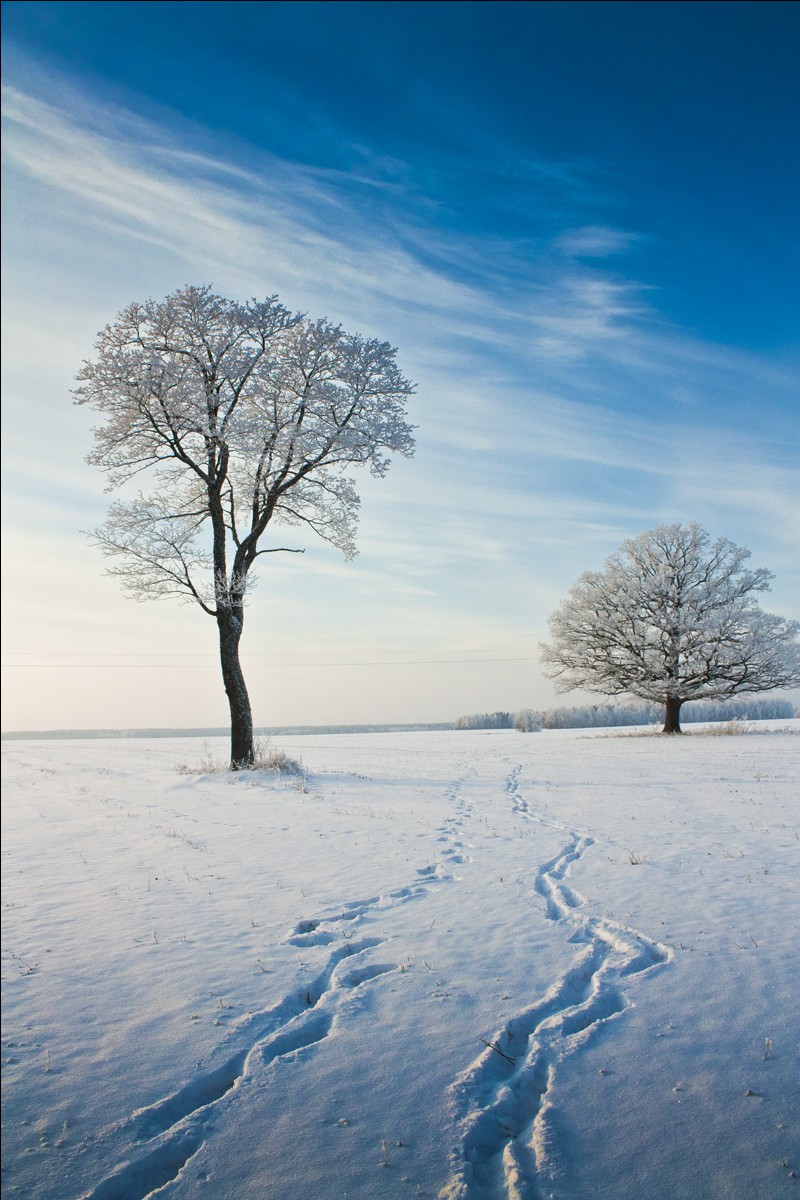 zwei Wege in eine Richtung