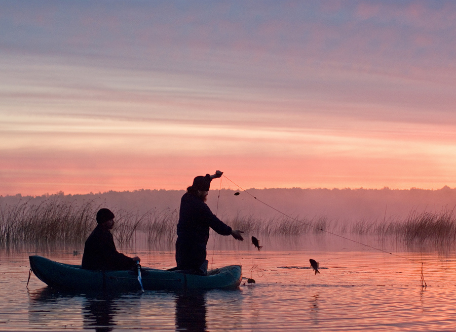 Collegiate pomyslovaya