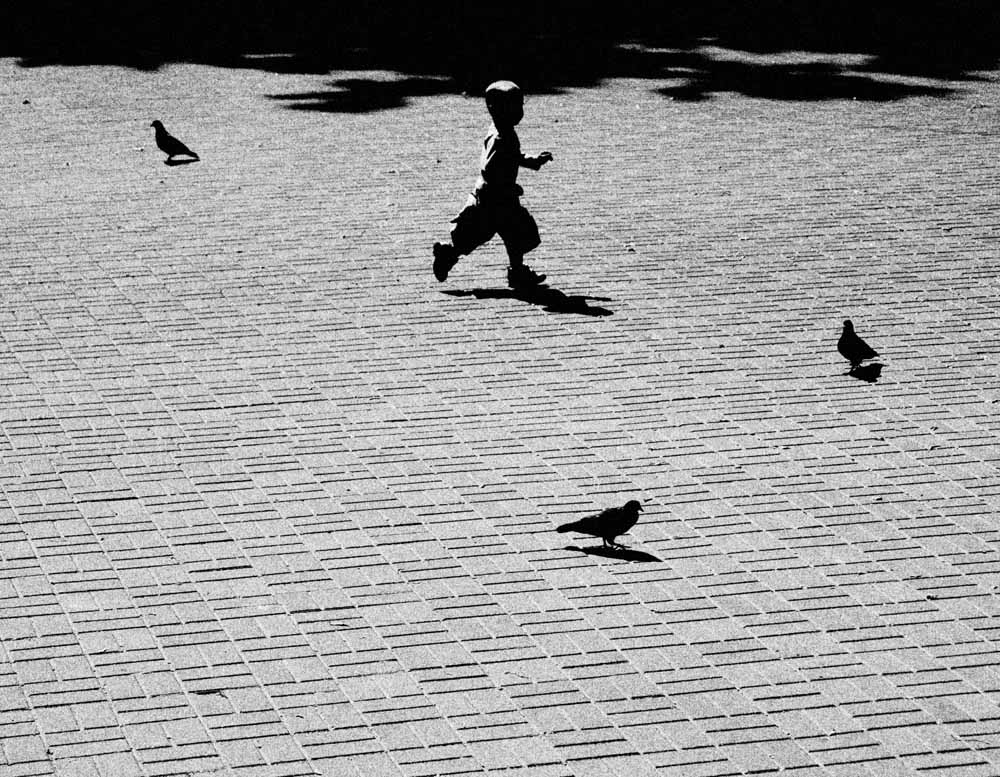 Der Junge und der Rabe