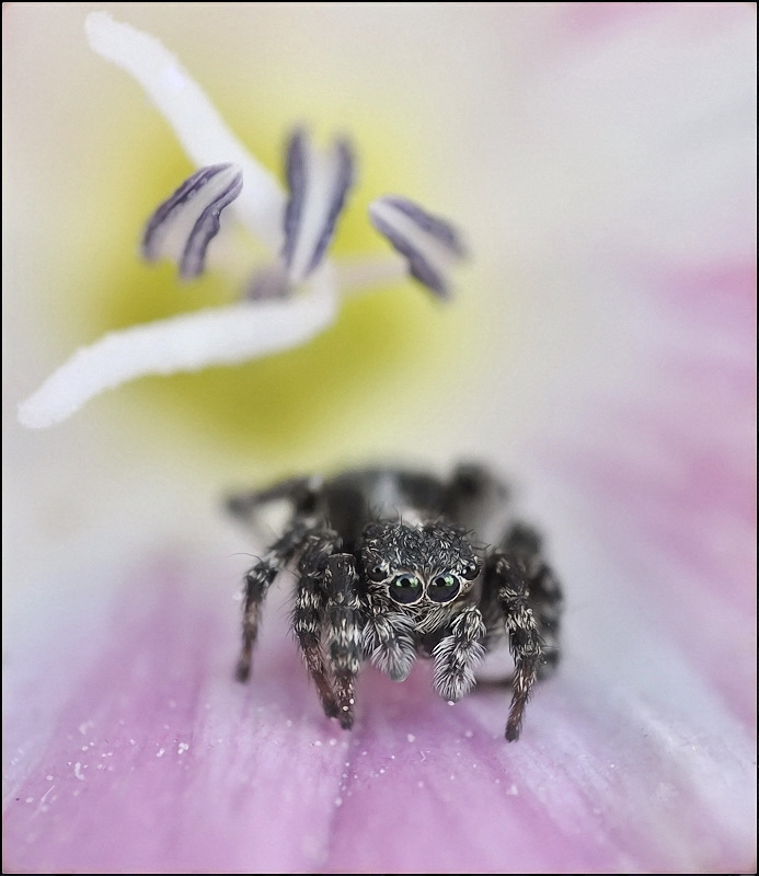 Passwort Weg nach Hause ...