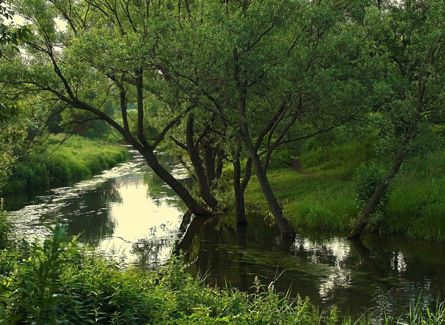 Der Morgen auf dem Yauza
