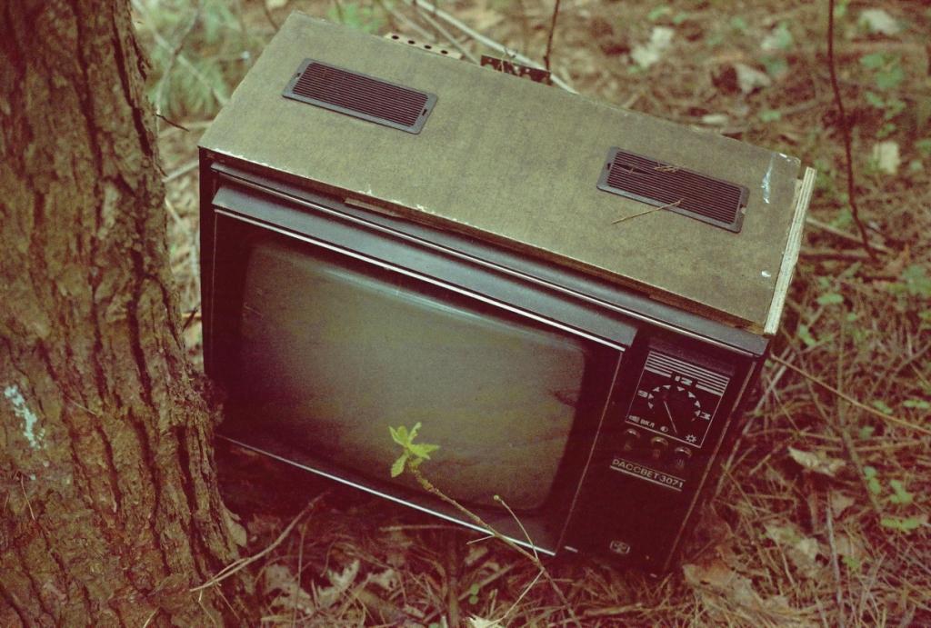 links auf die Natur .. Telly Uhr