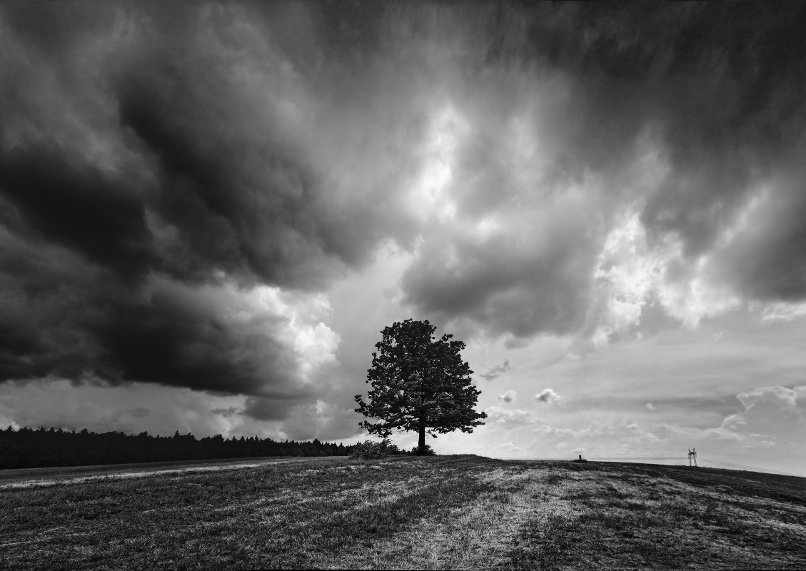 Über die Spalte Mast und Wind