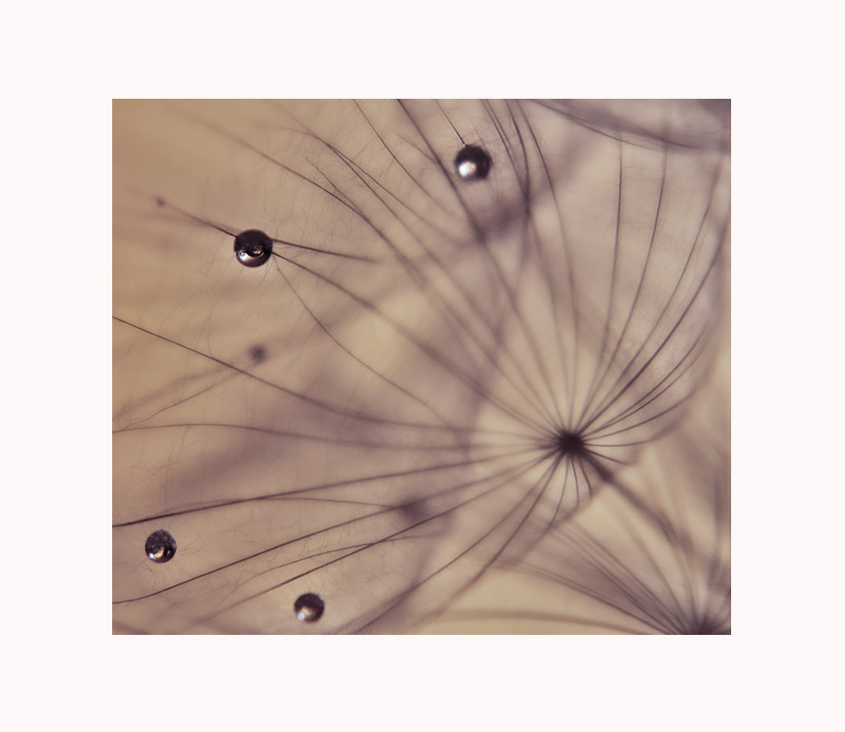 Never Too Late......