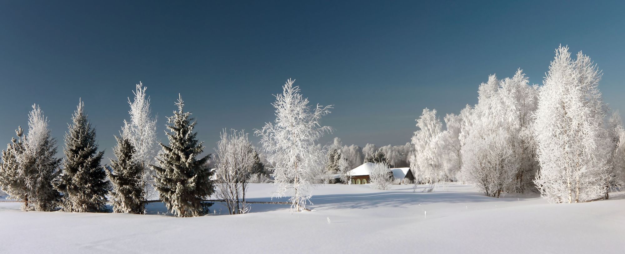 "Snow Zärtlichkeit"