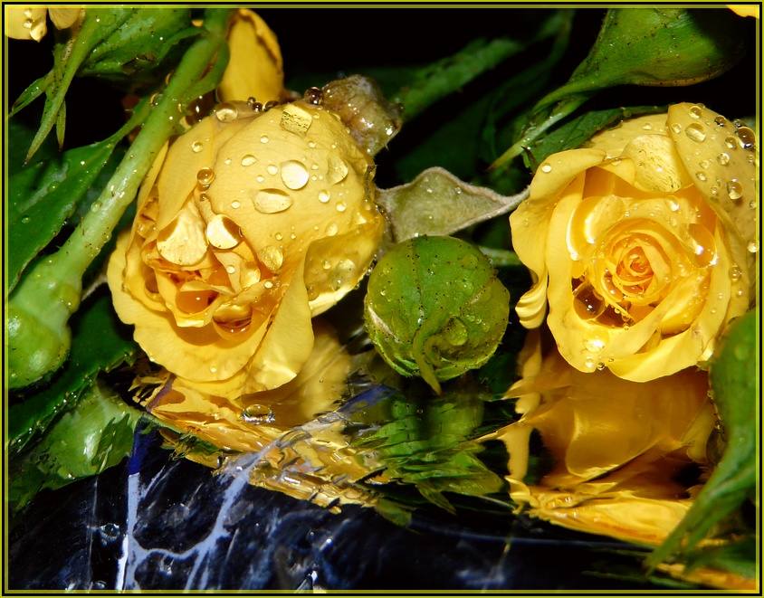 Drops und kapelyushechki ...