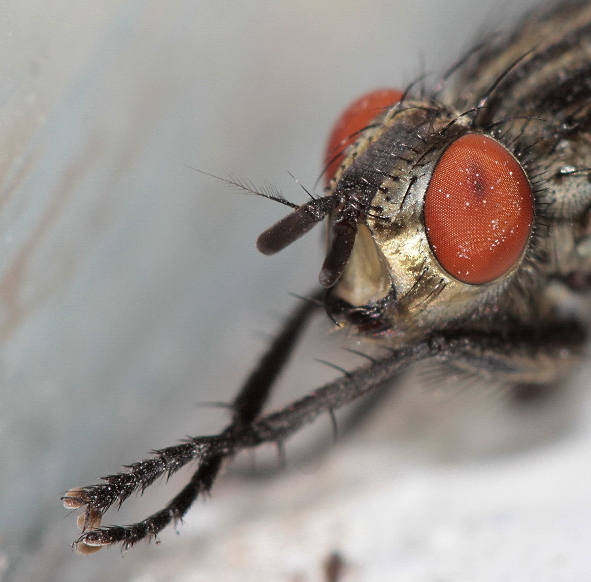 Oh, was für die Finger!