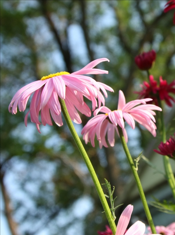 Wir fangen den Wind.