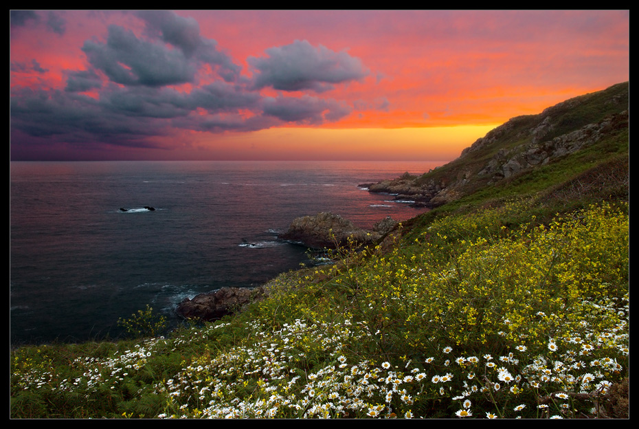 Landschaft mit drei romashkami