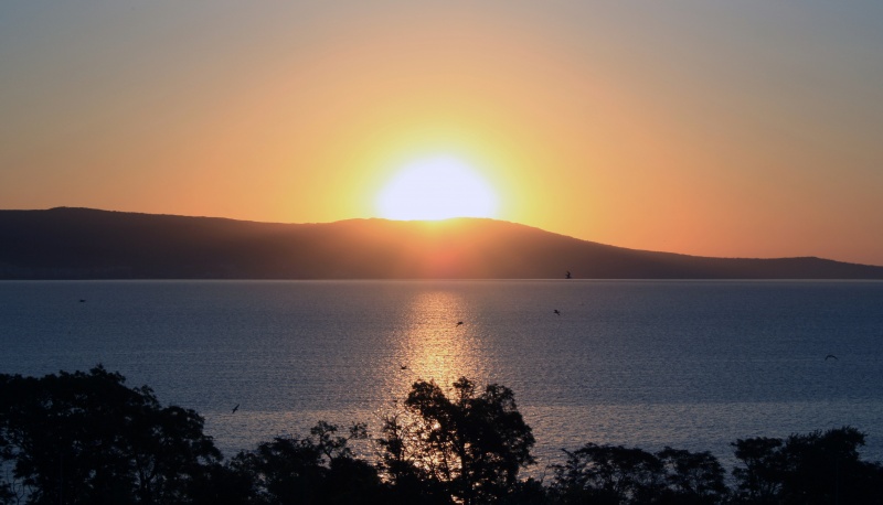 Wake-up durch das Meer