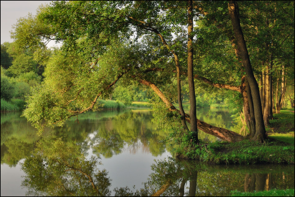 Sommer auf Svislochi