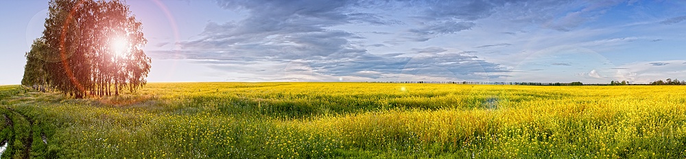 Irgendwo unter Togliatti