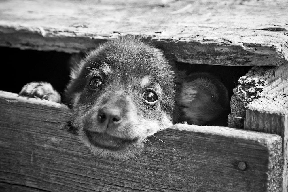 Nun lassen Sie mich sehen ...