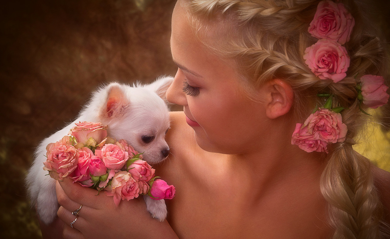 Dame mit einem Hündchen