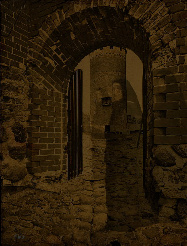 Wo wir herkommen ... wohin es geht ...?