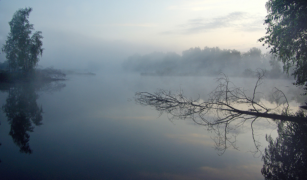 Woodland Pond am Ende der Nacht