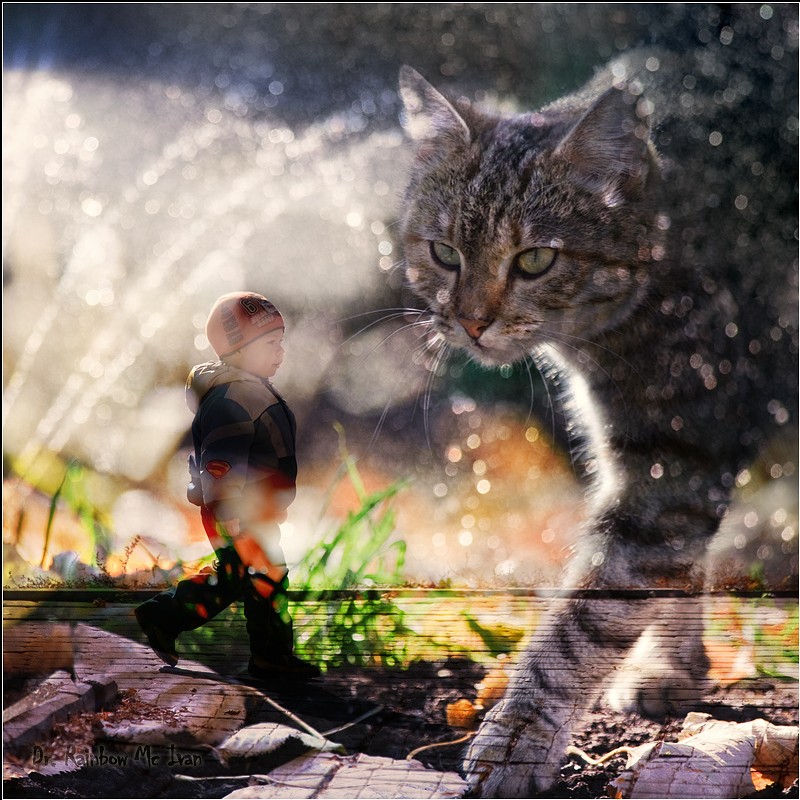 Fairytale Dream Boy spalchika ...