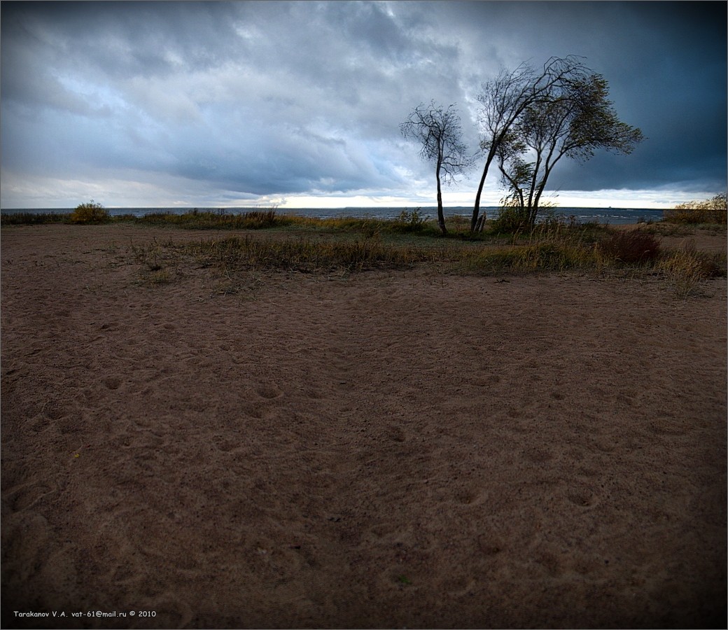 PRO schwül November Für VERKAUF MEIN ...